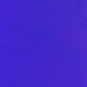 Meet your Posher, Kassandra